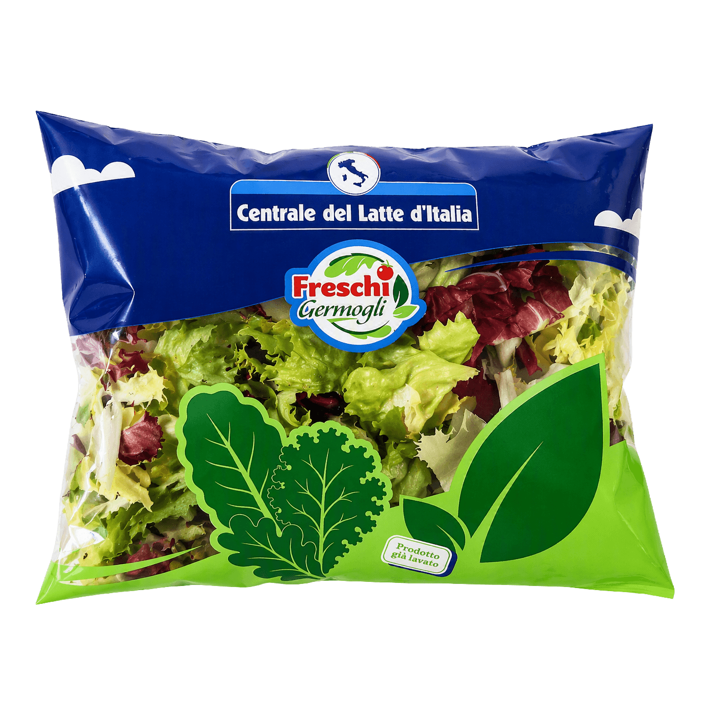 Insalate fresche
